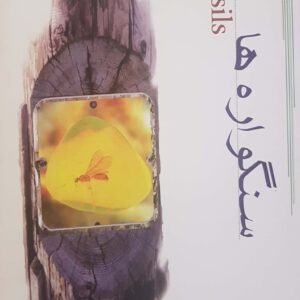 سنگواره ها