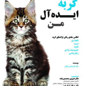 گربه ایده آل من