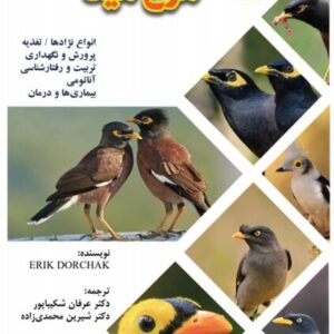 مرغ مینا