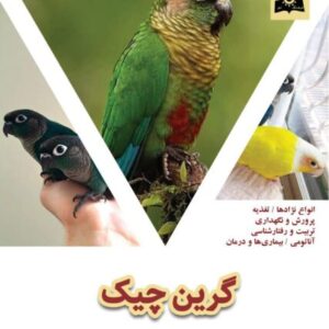 گرین چیک