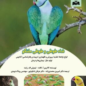 شاه طوطی و طوطی ملنگو