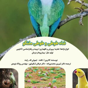 شاه طوطی و طوطی ملنگو