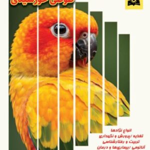 طوطی خورشیدی